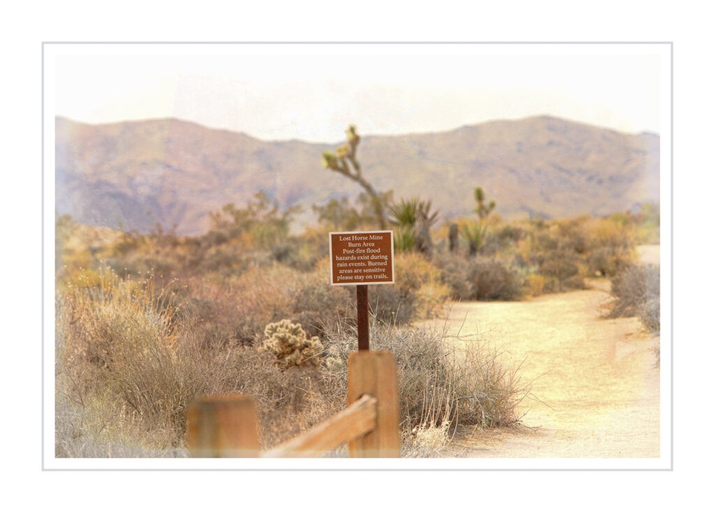 Lost Horse Mine Burn Area Sign