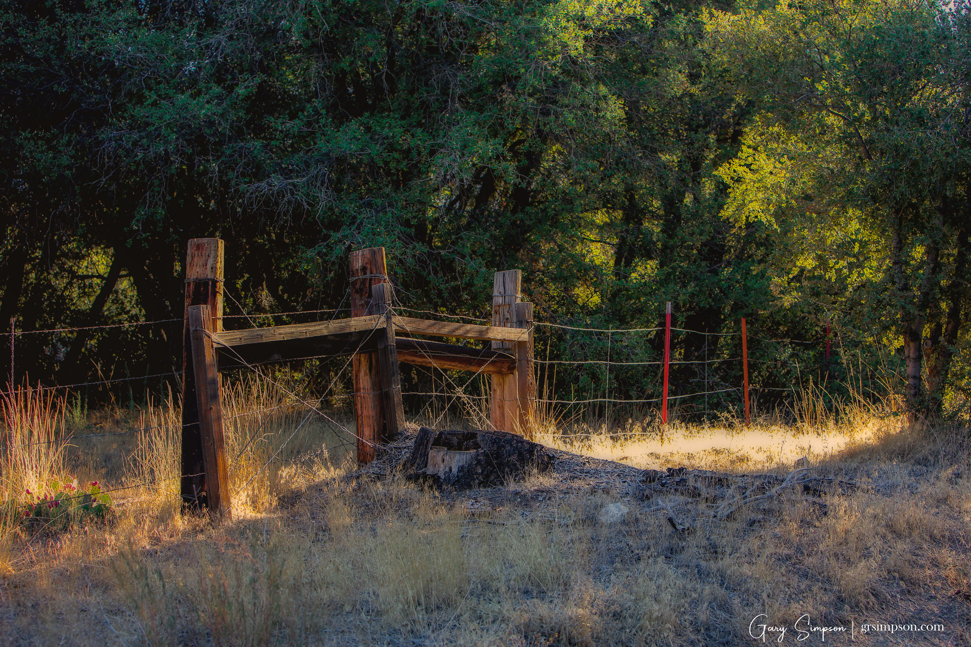 Fence Line