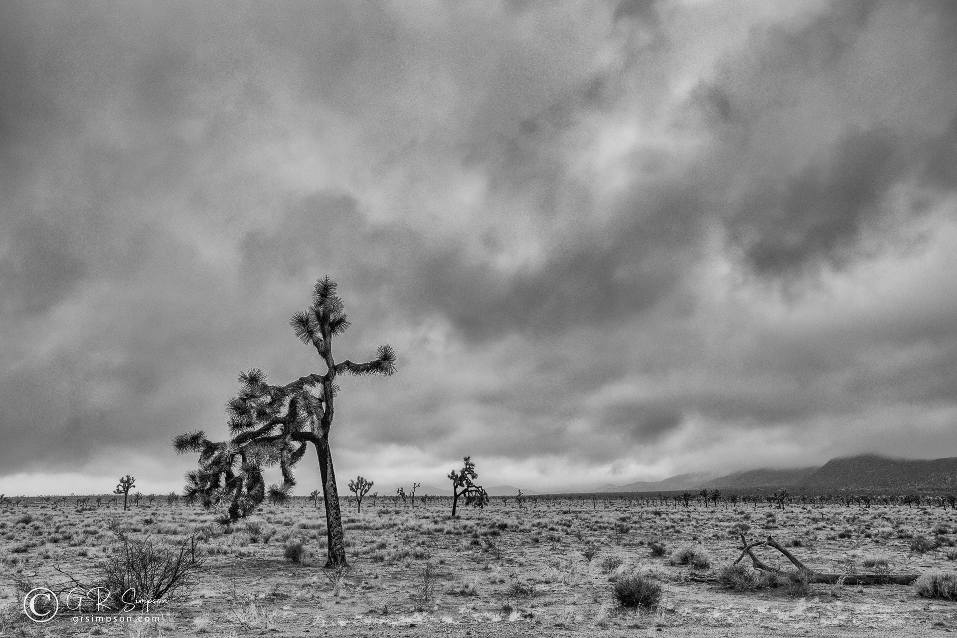 Desert Overcast