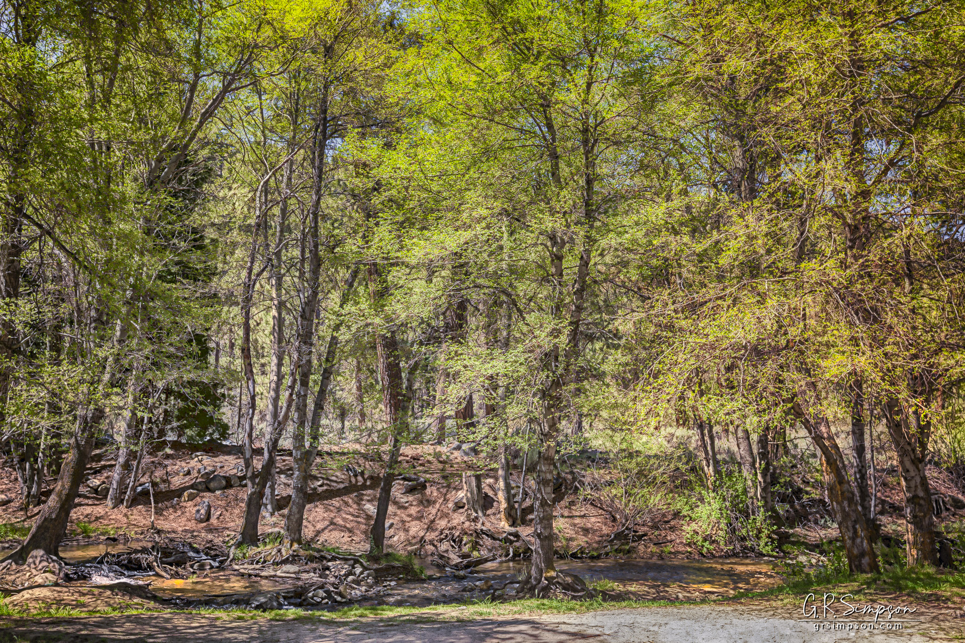 Headwaters of the Santa Ana