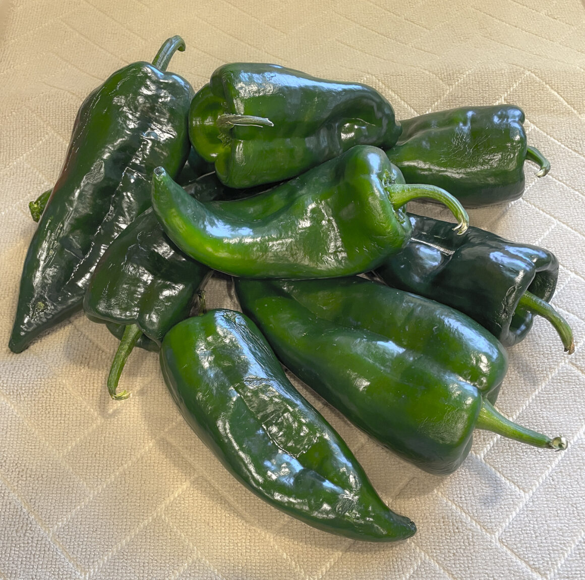 Poblano Chiles before Dehydration