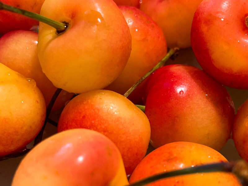 Rainier Cherries