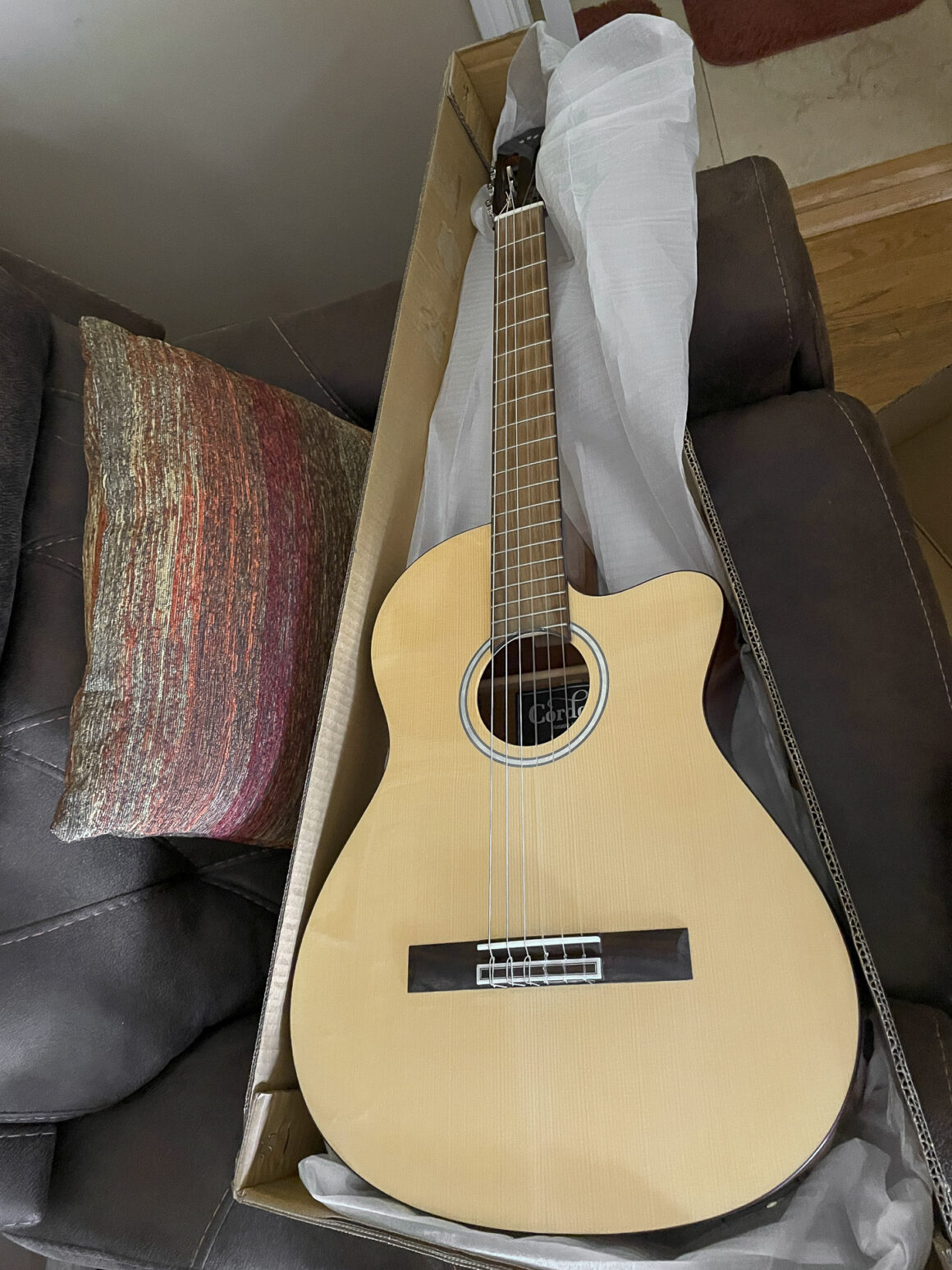 Acoustic Guitar