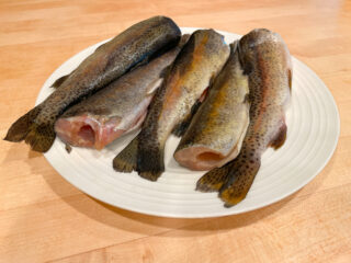Five Cleaned Trout on a Plate