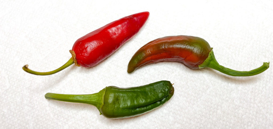 Jalapeno Chiles
