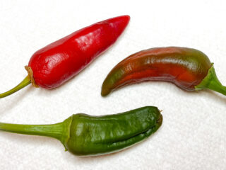 Jalapeno Chiles