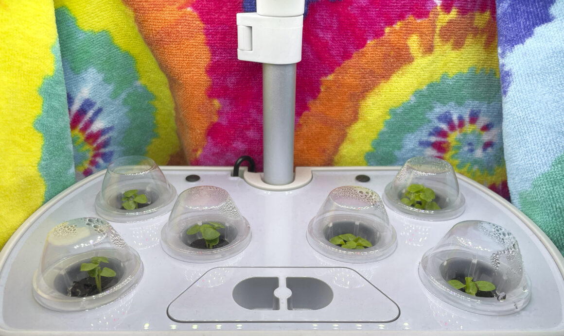AeroGarden