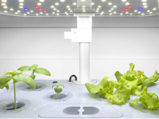 aerogarden