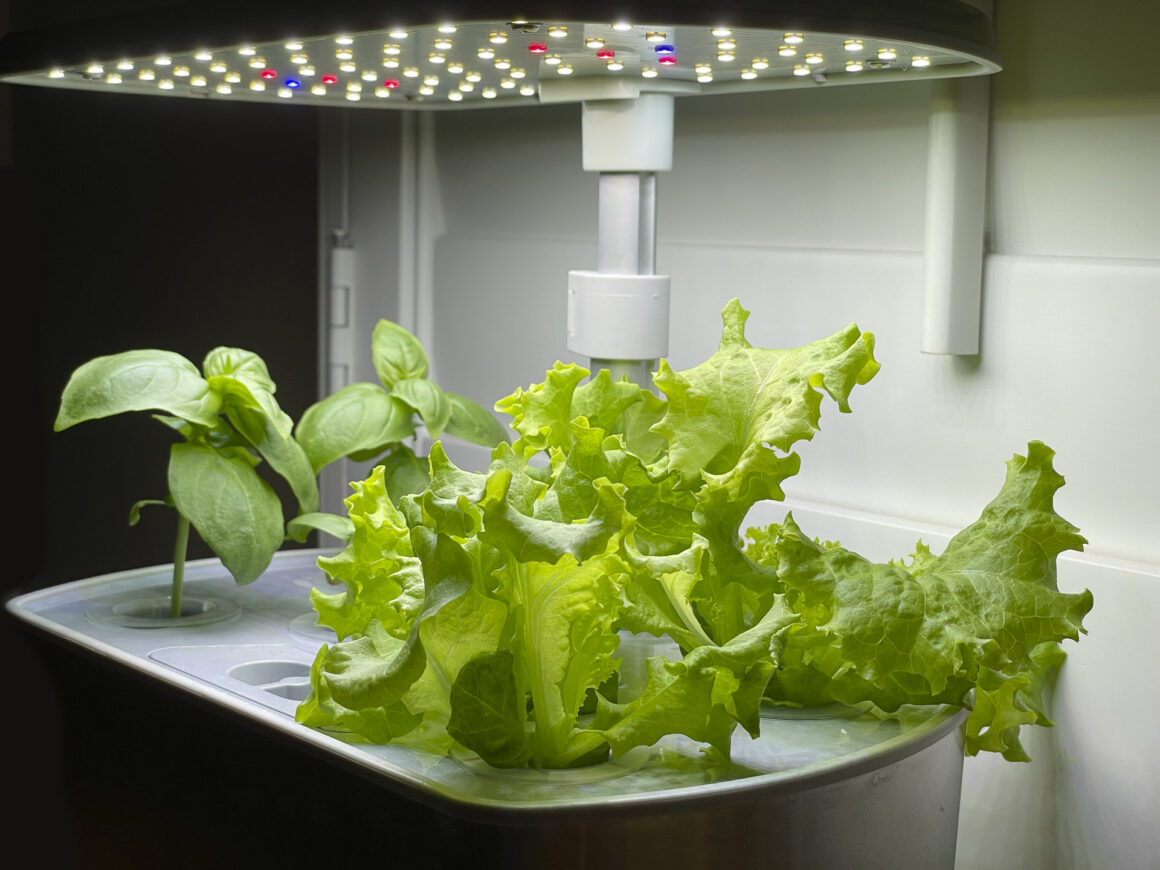 AeroGarden