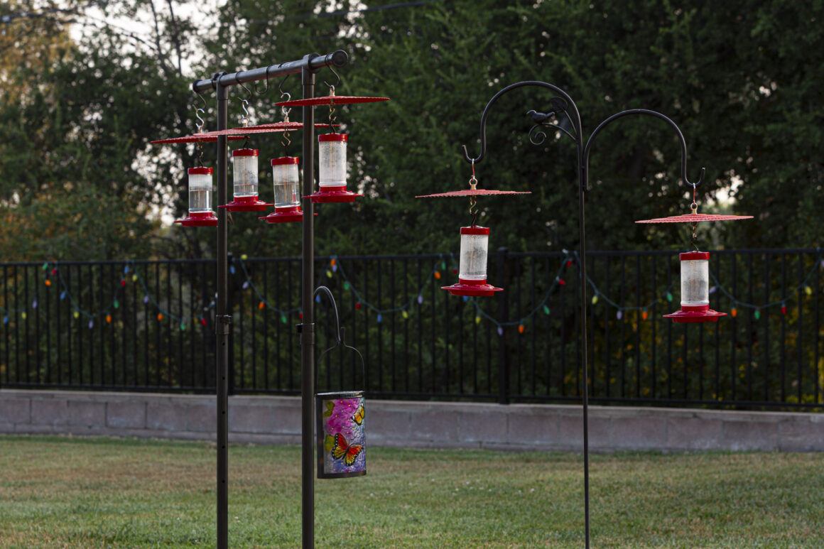 Backyard Hummingbird Feeders