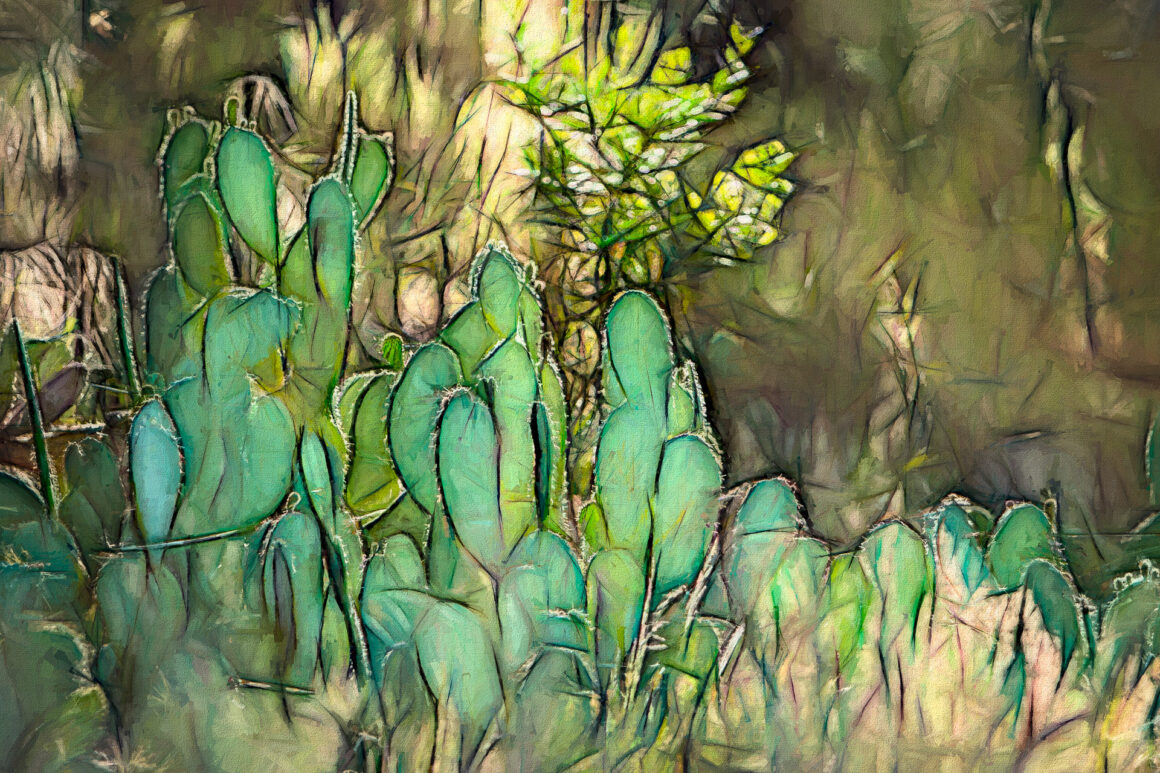 Cactus