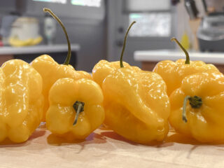 Habanero Chile Peppers