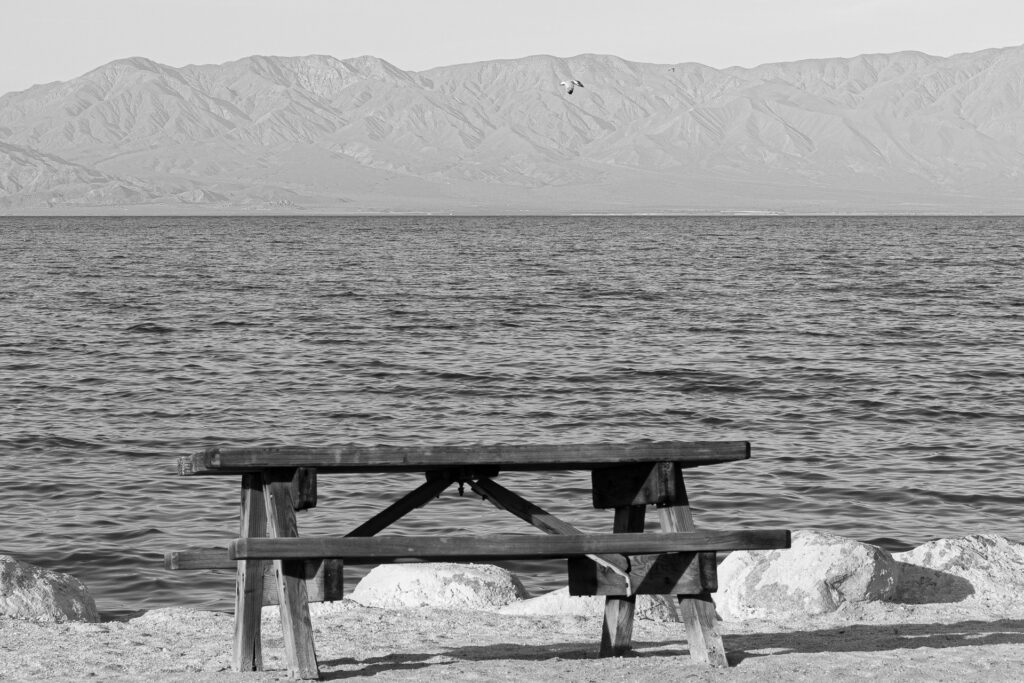 Picnic Bench at the Salton Sea
