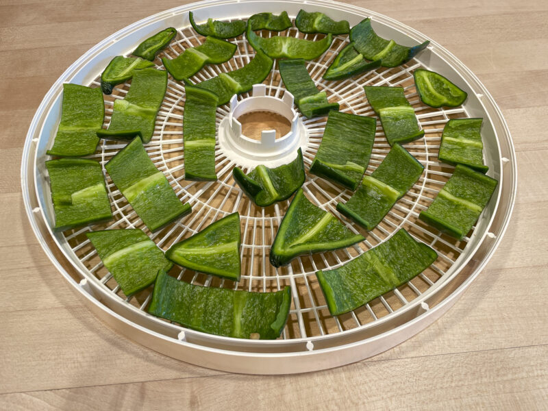Dehydrating Poblano Chile Peppers