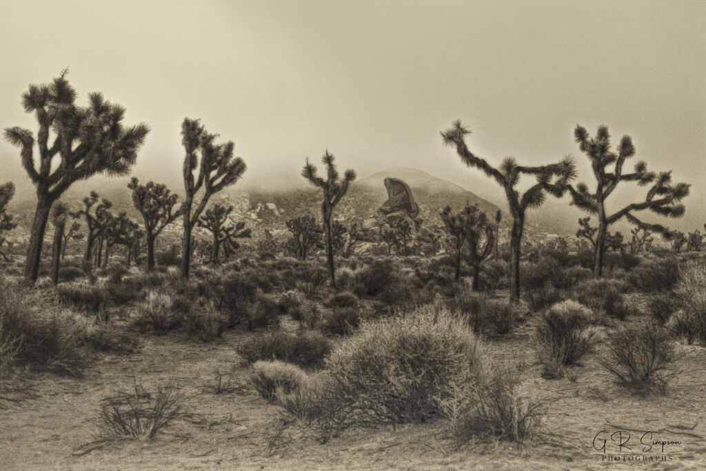 Low Clouds Around Headstone Rock