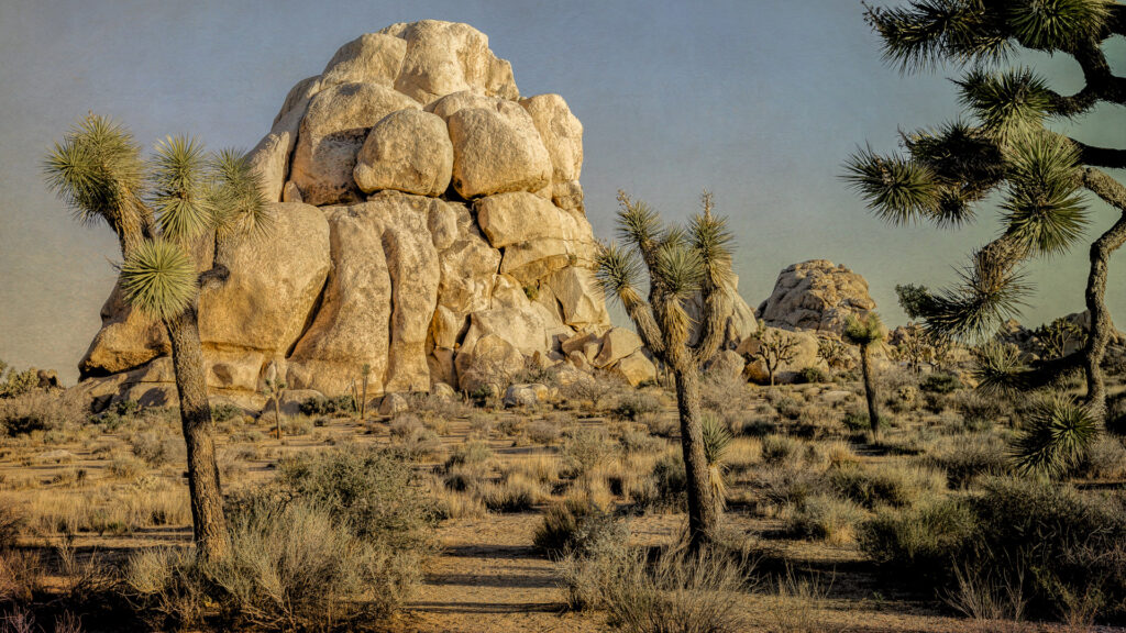 Sunshine on Intersection Rock