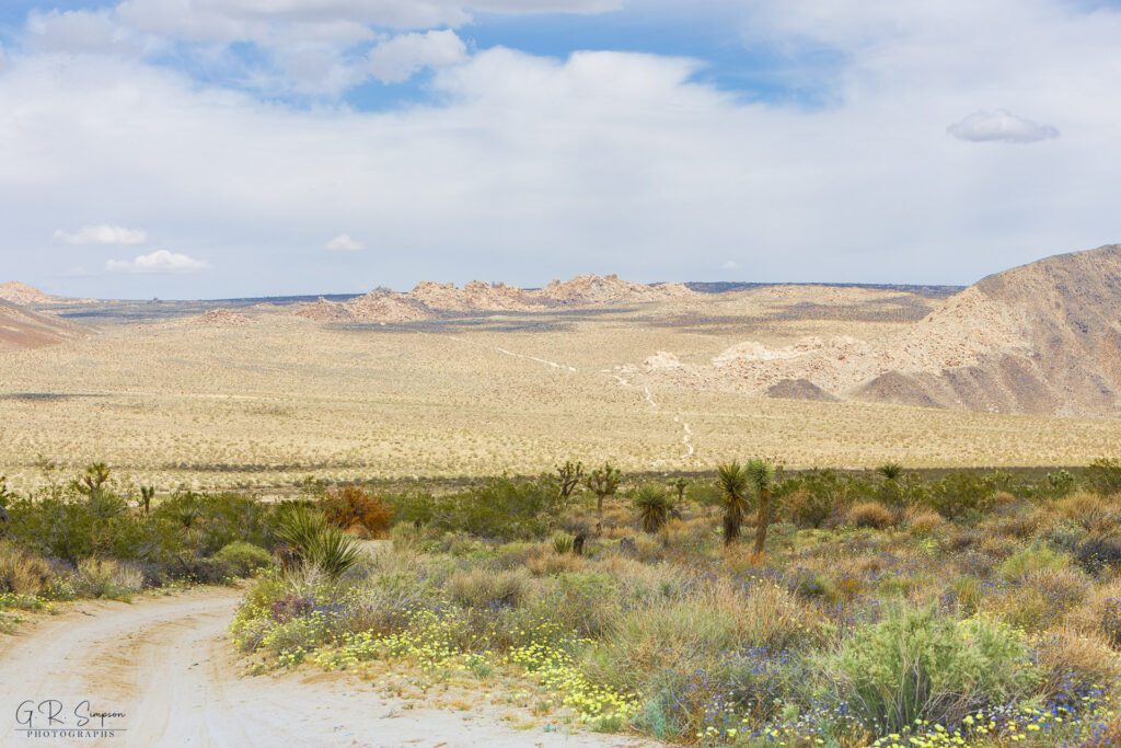 Pleasant Valley View