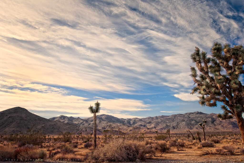 Clouds, Hills, Joshua Tree