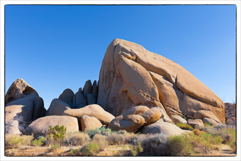 Quartz intrusion dike running through a monzogranite boulder