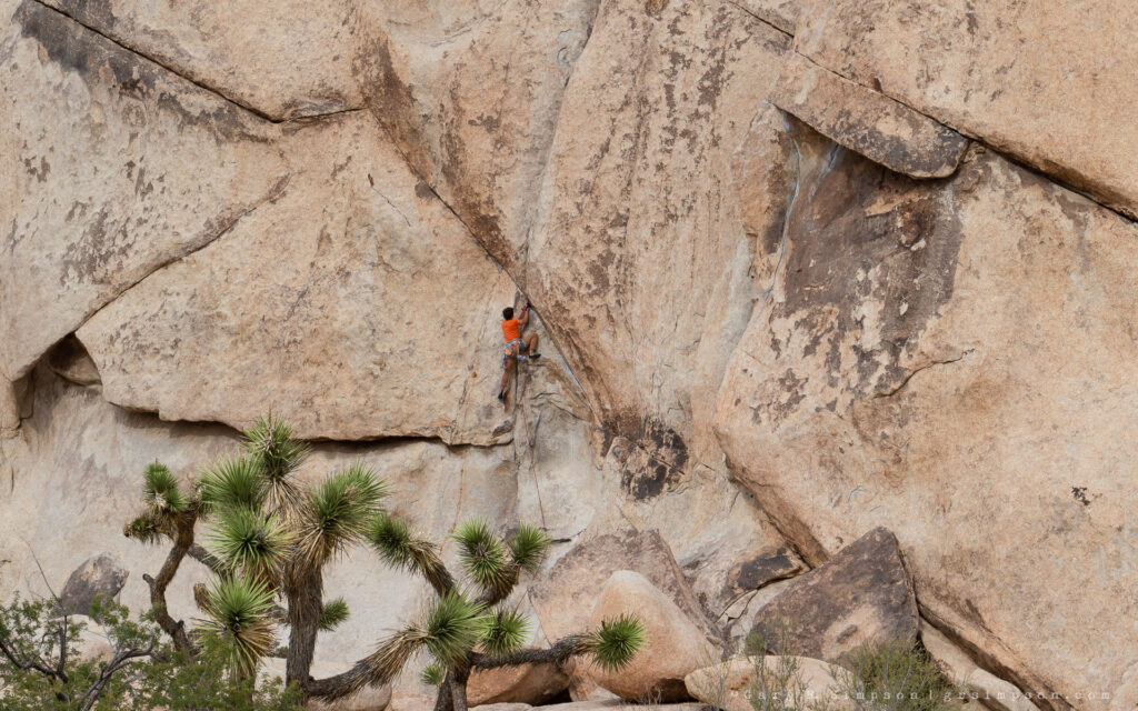 Orange Shirted Climber