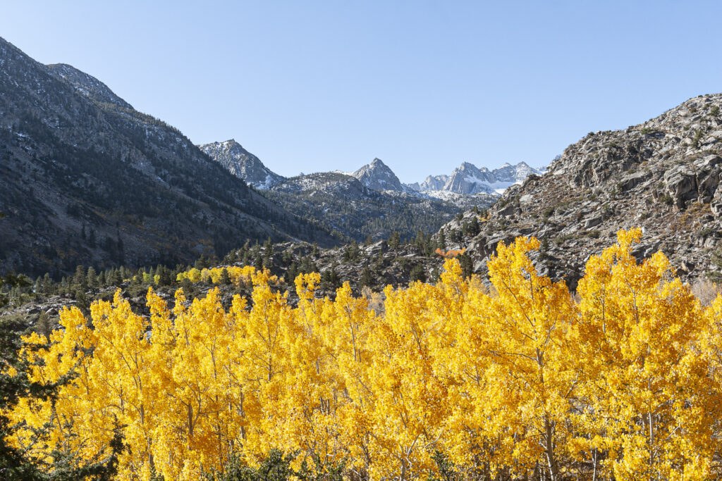 Bishop Creek Drainage