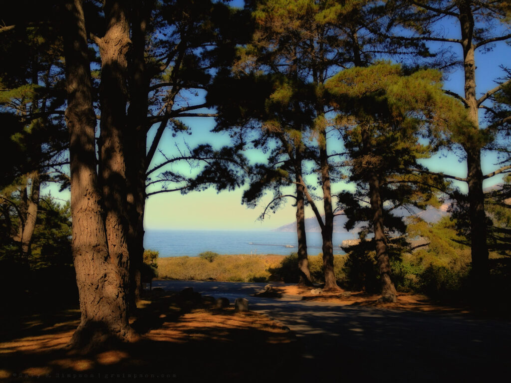 Plaskett Creek Campground