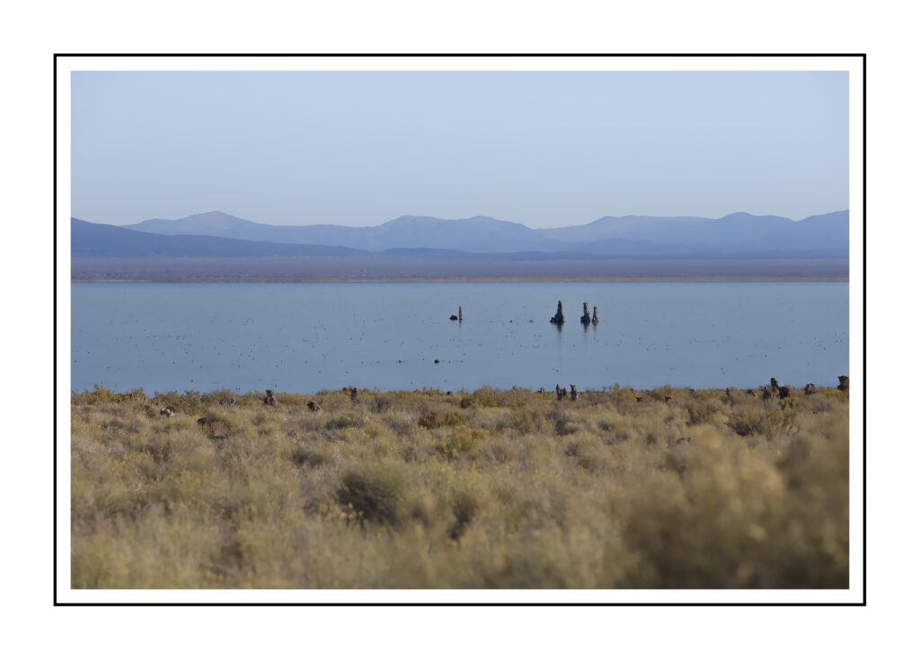 Mono Lake Layers