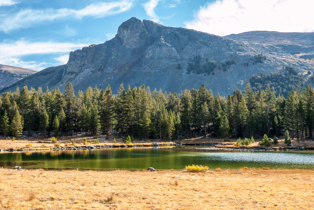 Mt. Dana, Tioga Pass, Yosemite National Park