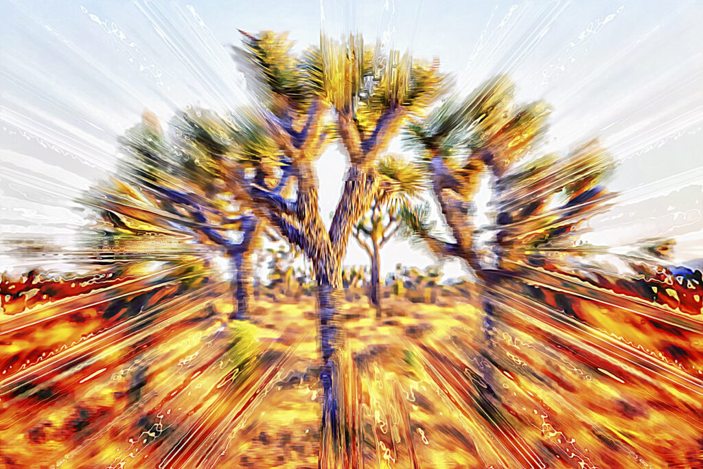 Colors in the Desert