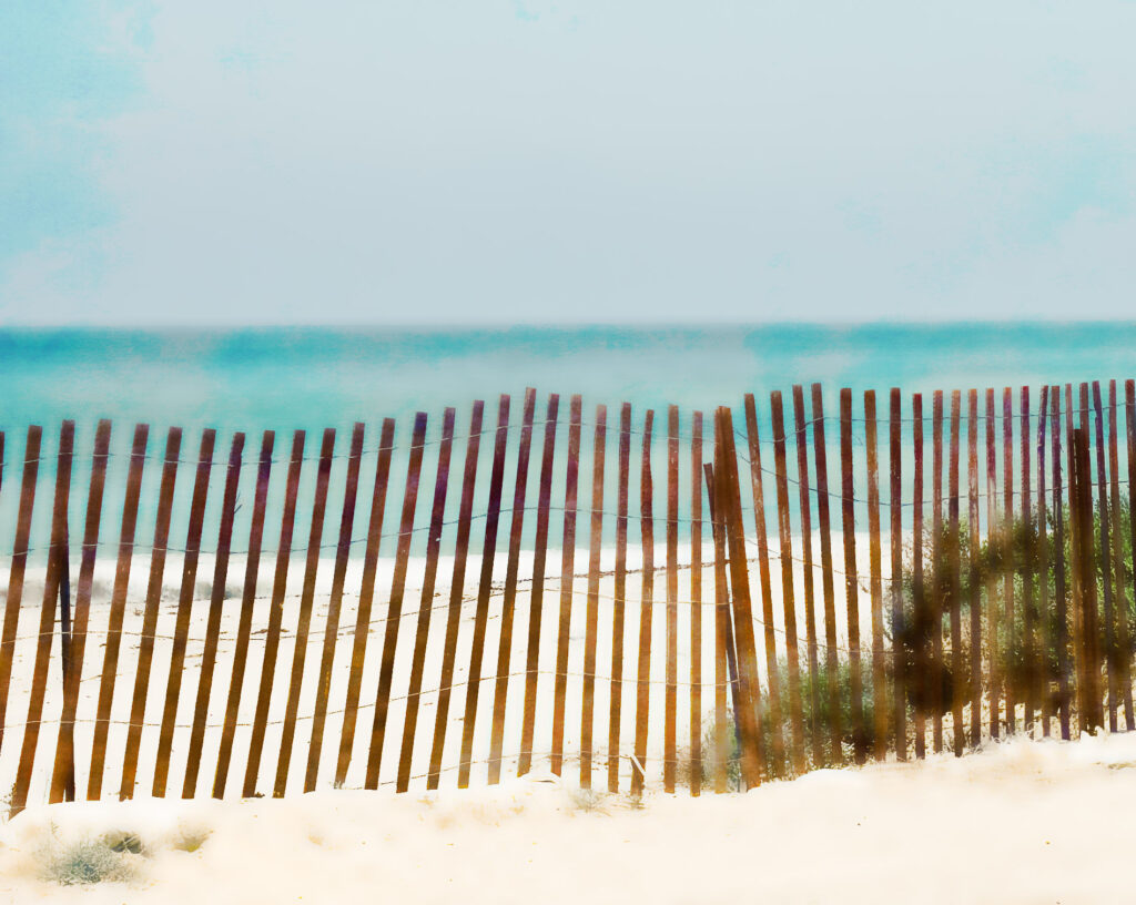 Doheny Beach Sand Fencing
