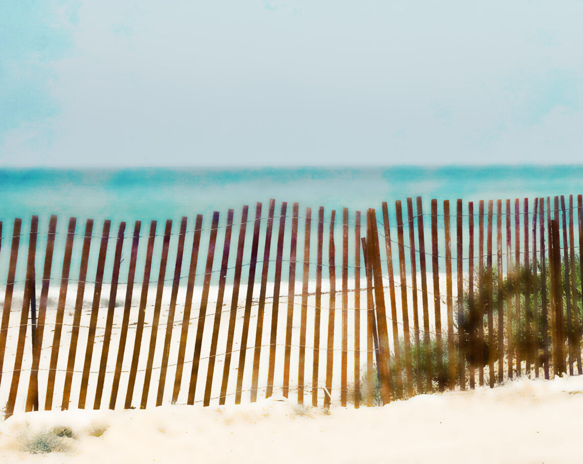 Doheny Beach Sand Fencing