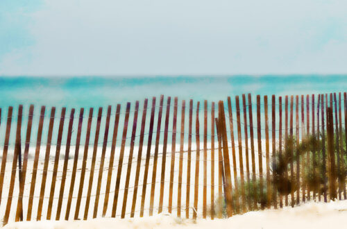 Doheny Beach Sand Fencing