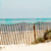 Doheny Beach Sand Fencing