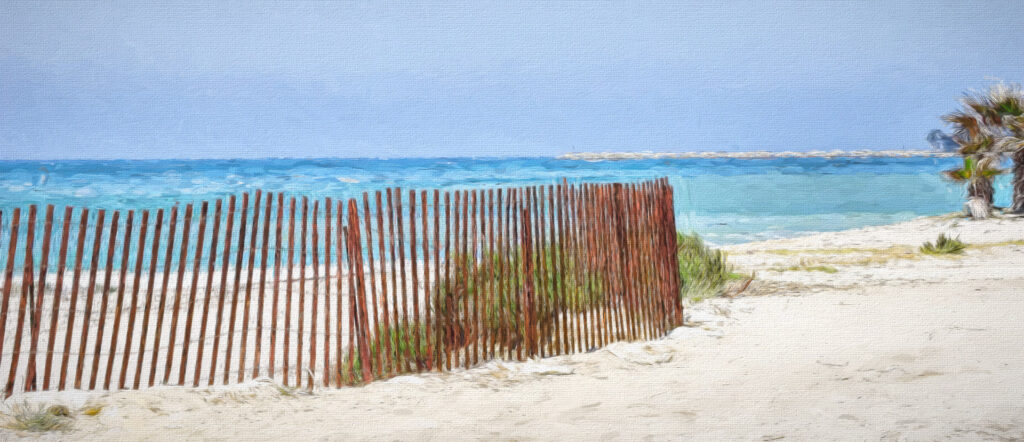Doheny Beach Sand Fencing