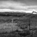 The House in the Hills Off Singleton Road
