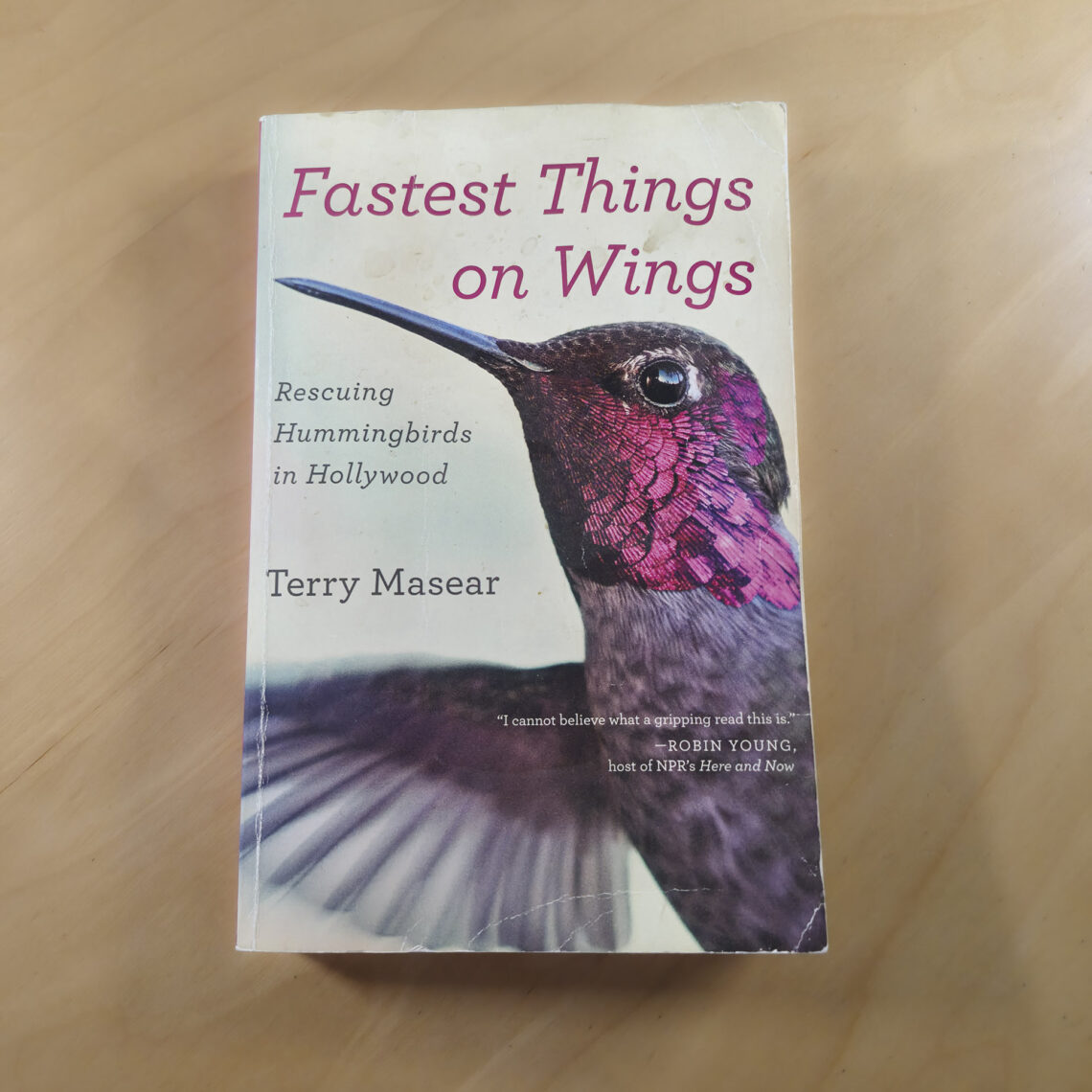 Fastest Thing on Wings by Terry Masear