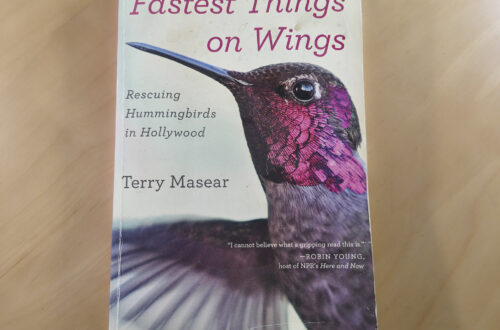 Fastest Thing on Wings by Terry Masear