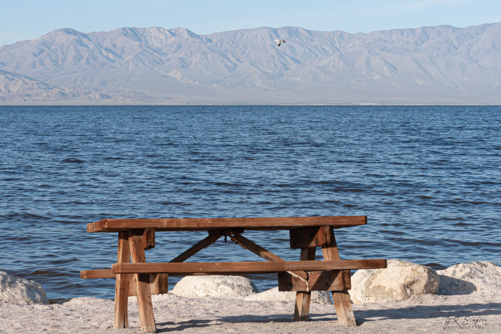 Picnic Bench at the Salton Sea