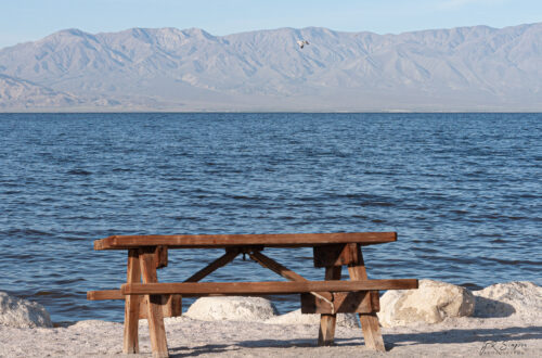 Picnic Bench at the Salton Sea