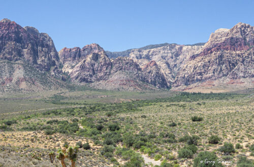 Red Rock Canyon