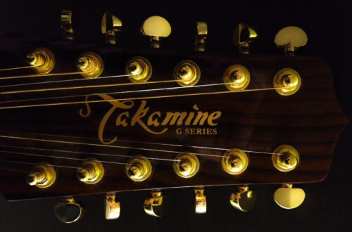Takamine Twelve String Guitar