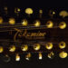Takamine Twelve String Guitar