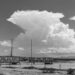 cumulonimbus cloud (specifically a cumulonimbus incus, commonly known as an anvil cloud).