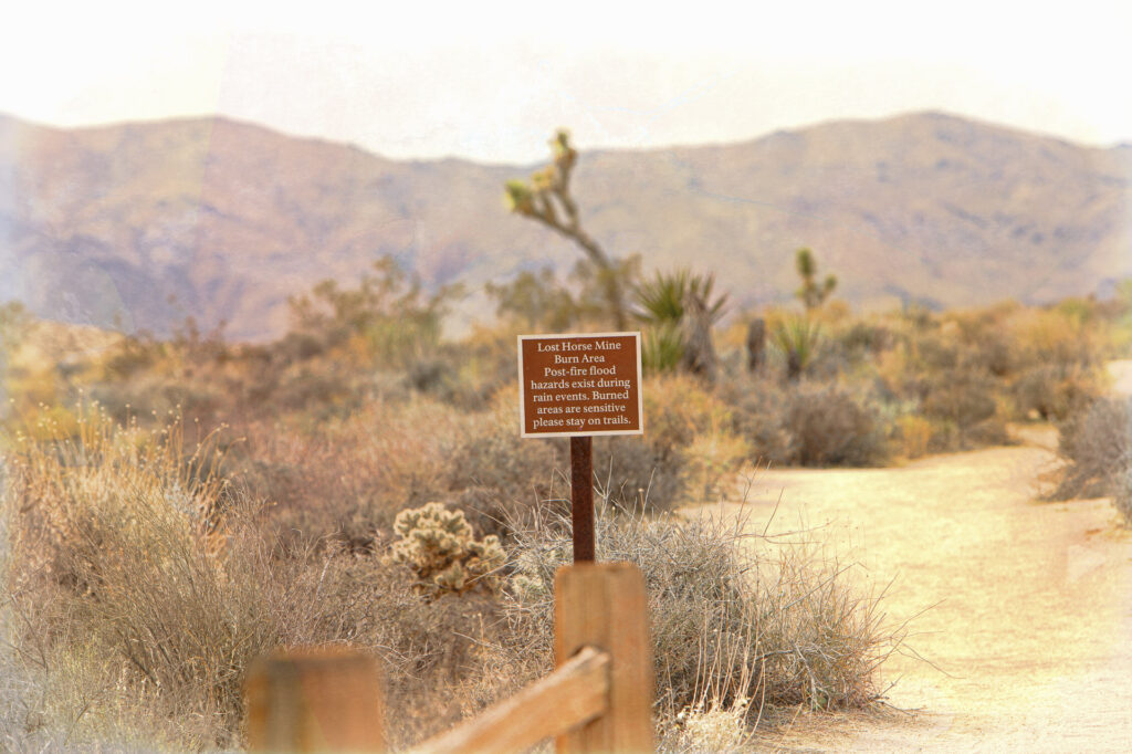 Lost Horse Mine Burn Area