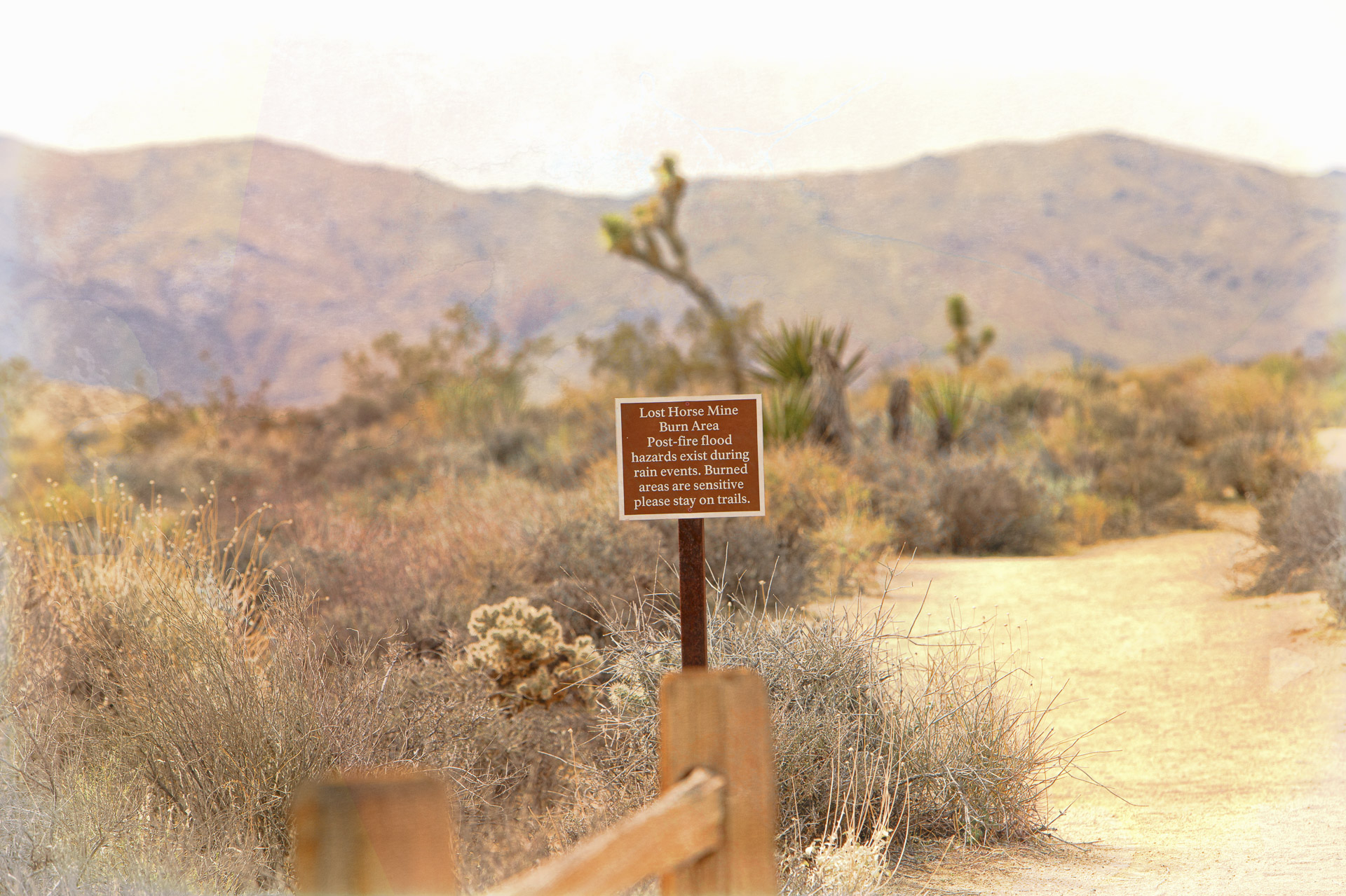 Lost Horse Mine Burn Area