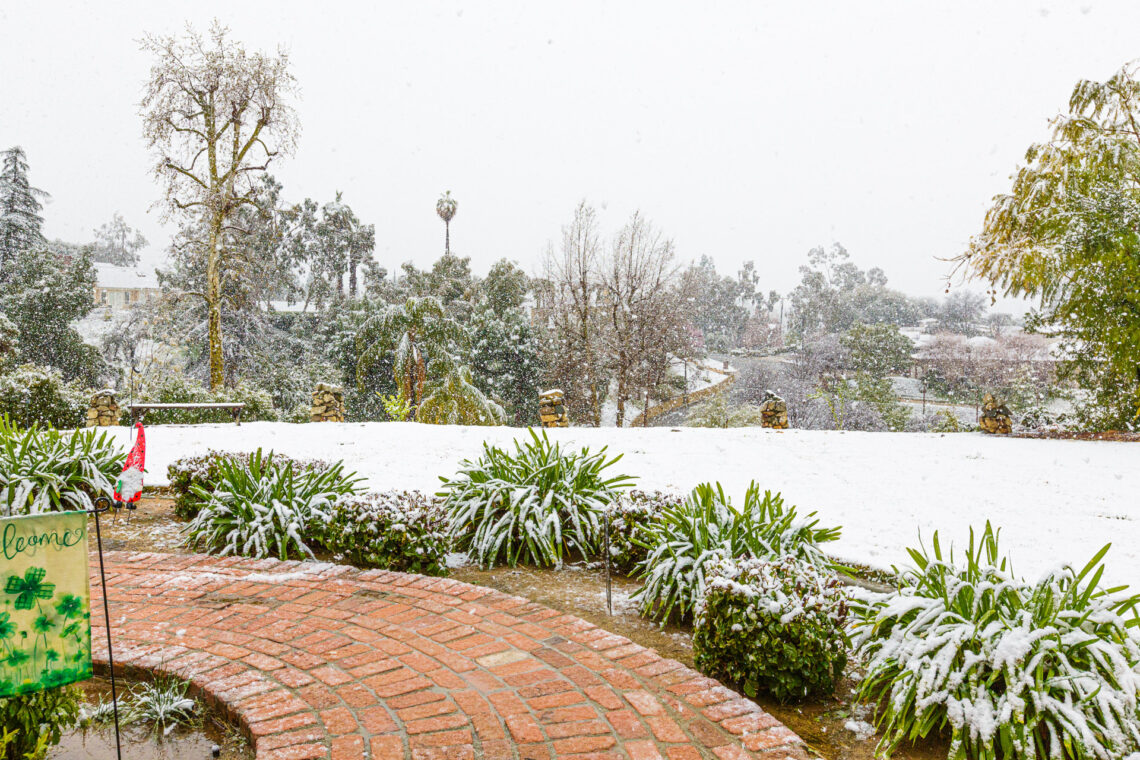 The Great Redlands Blizzard