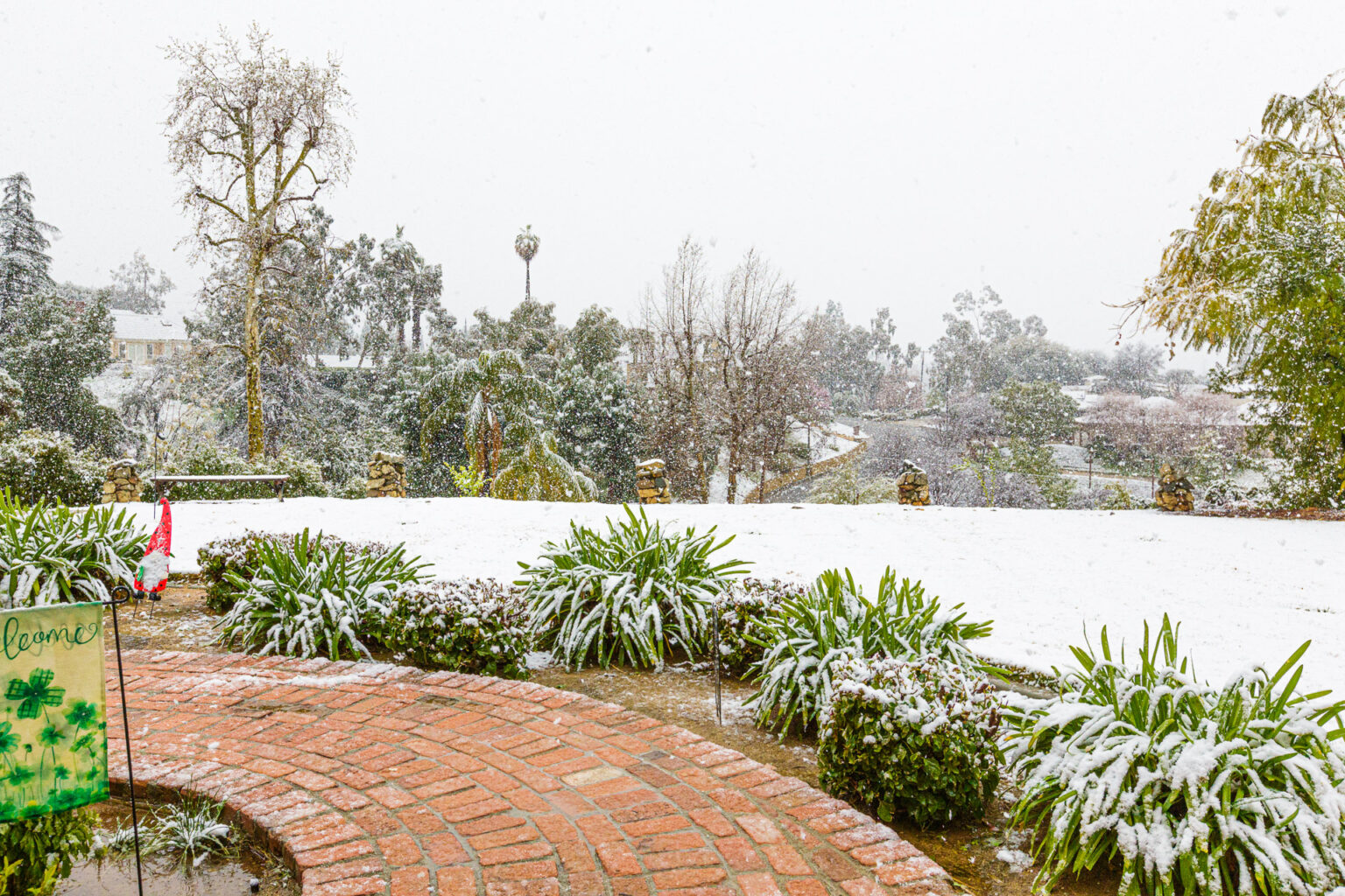 The Great Redlands Blizzard