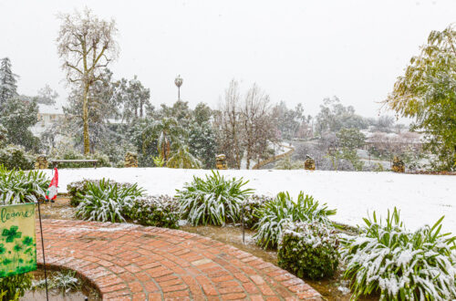 The Great Redlands Blizzard