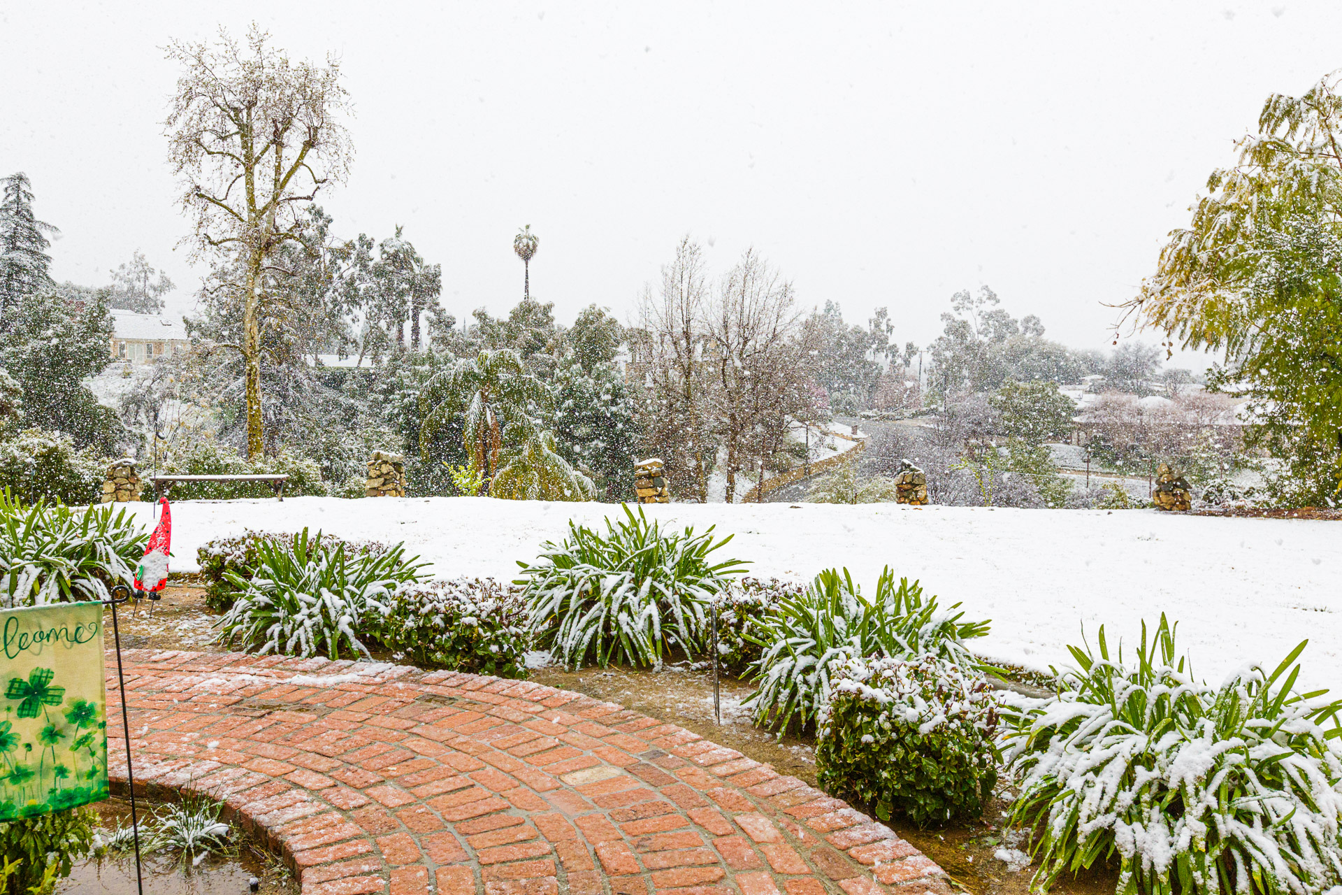 The Great Redlands Blizzard