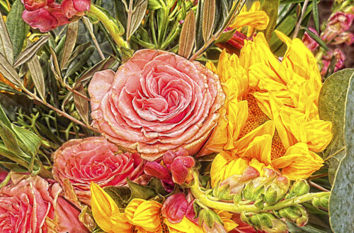 Bright Flowers